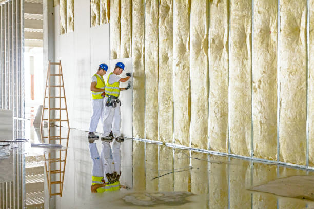 Best Types of Insulation in Good Hope, CA